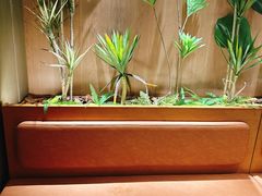 -奈雪的茶(杨家坪万象城店)