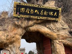 -大槐树寻根祭祖园
