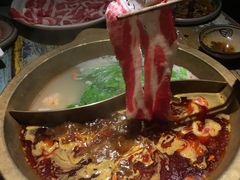 -房子红了鱼豆花重庆老火锅(广厦学院店)