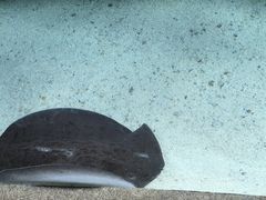 -珠海长隆海洋王国