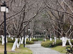-范蠡湖公园