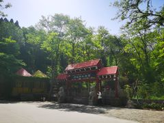 -原山国家森林公园