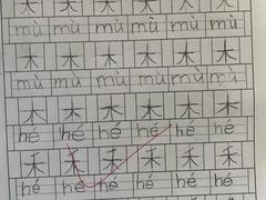 -智星少年学校·幼小衔接·精品托管