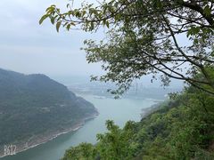 -铁山坪森林公园