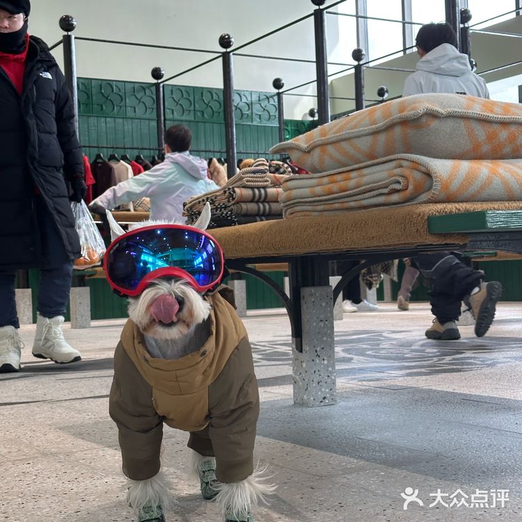 崇礼3月不滑雪🉑喝Burberry☕️攻略