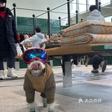 崇礼3月不滑雪🉑喝Burberry☕️攻略