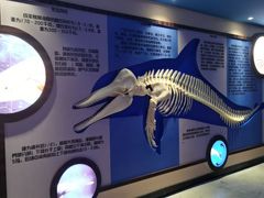 -秦皇岛新澳海底世界