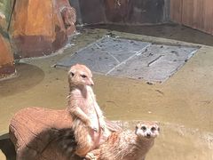 -太奥幻太奇海洋馆