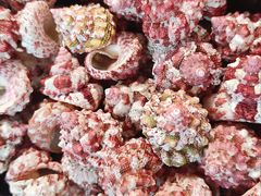 -摩登百货(岗顶店)