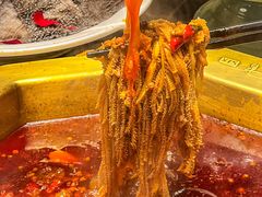 -蜀九香火锅(彩虹店)