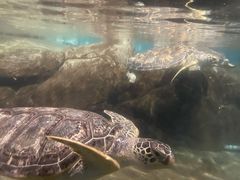 -福州罗源湾海洋世界旅游区