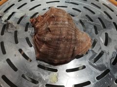 -四海蒸鲜蒸汽海鲜自助(北戴河店)