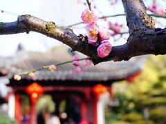 -莘庄公园