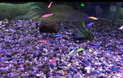 -酷嗒动物文化乐园(cutezoo西溪乐天城店)