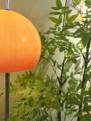 -变美丽半永久纹眉连锁·机器野生眉•洗眉