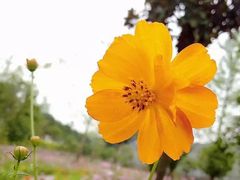 -仙海旅游度假区