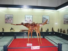 -海口市博物馆