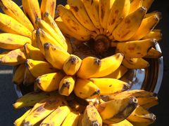 -瑞丽口岸免税店