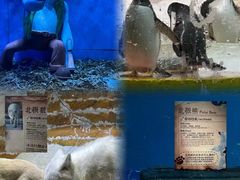 -大连圣亚海洋世界