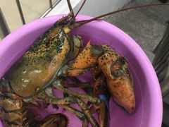 -烁佳海鲜大馅饺子