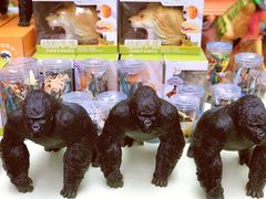 -西西弗书店·矢量咖啡(新光天地店)