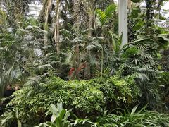 -郑州植物园