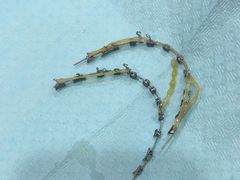 -同步齿科·数字化正畸种植口腔中心(珠海店)