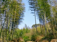 -黄公望隐居地