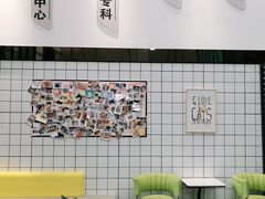 -半岛宠物医院24小时(科华中路店)