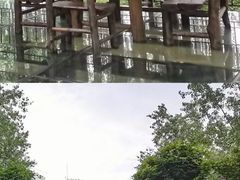 -合肥滨湖国家森林公园