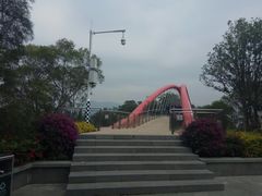 -金鸡山公园