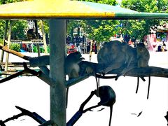 -西霞口神雕山野生动物世界