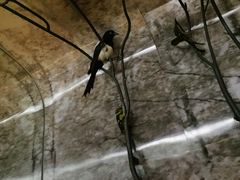 -杭州逸设计师酒店(武林广场店)