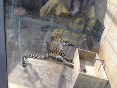 -西安秦岭野生动物园