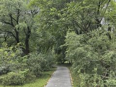 -国家植物园南园