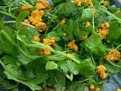 -海胆小馆(东北水饺·春柳店)