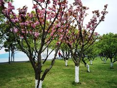 -东钱湖小普陀景区
