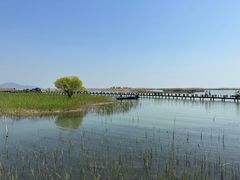 -苏州太湖湖滨国家湿地公园