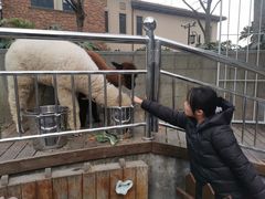 -上海崇明金茂凯悦酒店