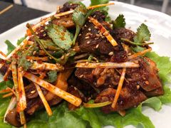 拌狗肉-金刚山(学府路店)