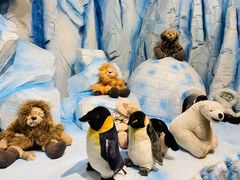 -济州岛泰迪熊博物馆