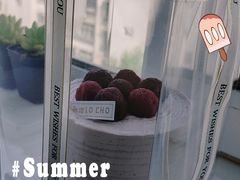 -勒甜LO CHO·定制低糖代糖纯动物奶油生日蛋糕(新开路店)