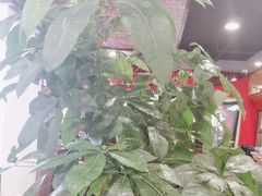 -洞庭家宴·头牌甲鱼(广渠门店)
