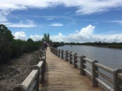 -东寨港红树林旅游区