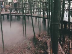 景点-竹泉村旅游度假区