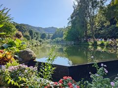 -深圳仙湖植物园