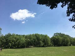 -长白岛森林公园