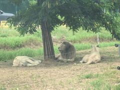 -秦皇岛野生动物园