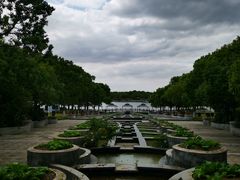 -上海都市菜园