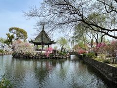 -无锡蠡湖国家湿地公园-蠡园
